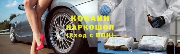 ПСИЛОЦИБИНОВЫЕ ГРИБЫ Армянск