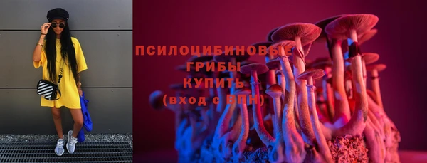 ПСИЛОЦИБИНОВЫЕ ГРИБЫ Армянск