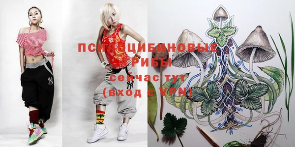 ПСИЛОЦИБИНОВЫЕ ГРИБЫ Армянск