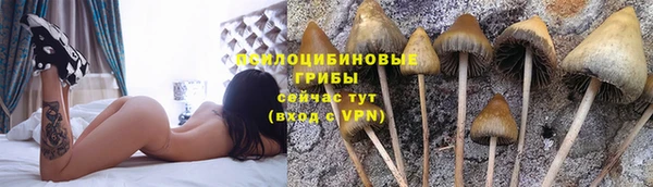 метамфетамин Арсеньев