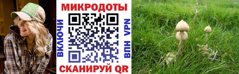 Купить закладки  Богучар  Галлюциногенные грибы мухоморы 