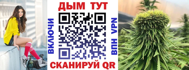 Купить закладки  Богучар  Бошки Шишки AK-47 